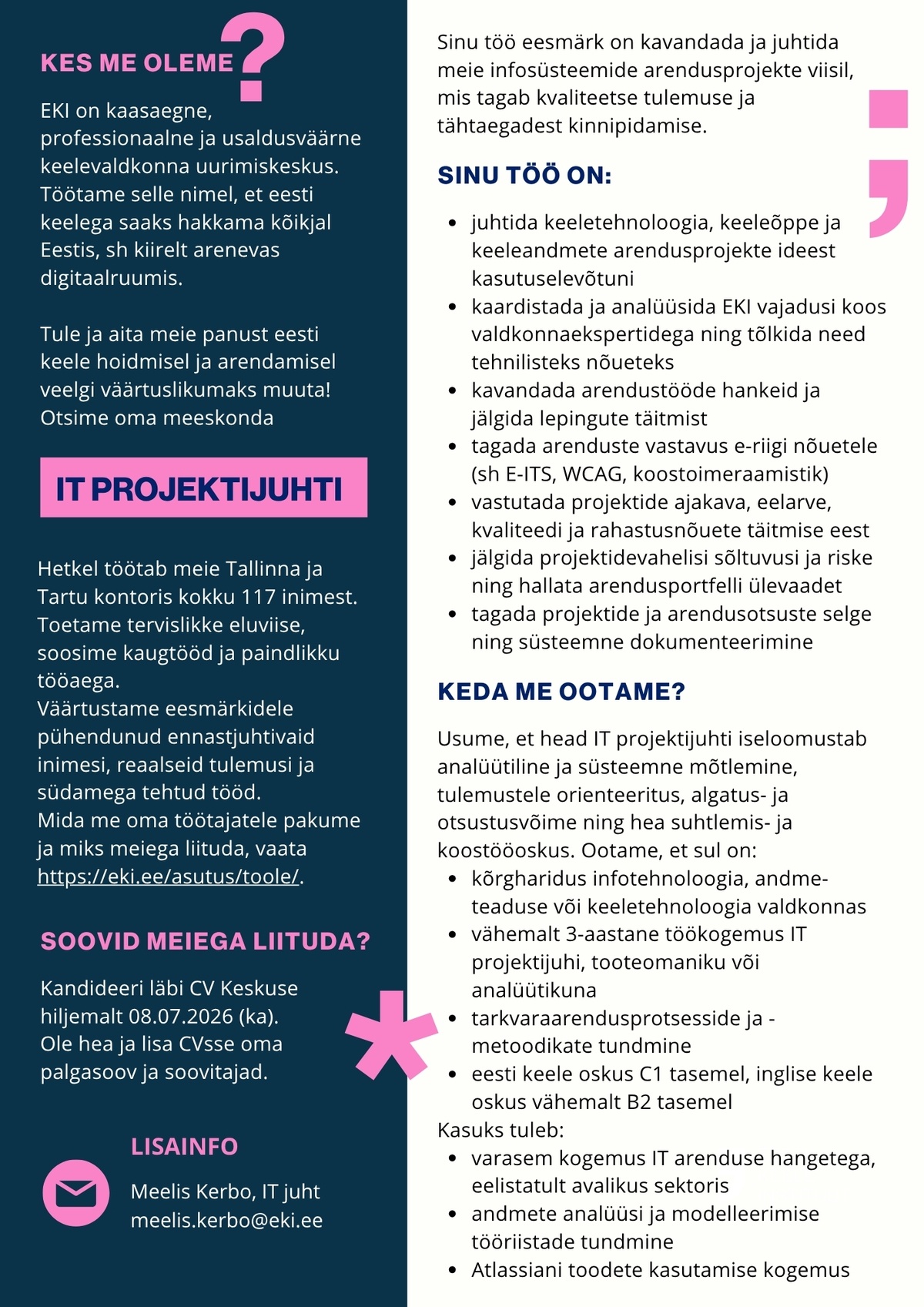 Eesti Keele Instituut IT projektijuht
