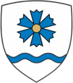 Direktor